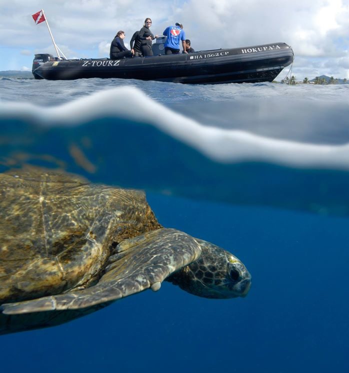 Kauai's Ultimate South Island Zodiac Boat Snorkel Adventure