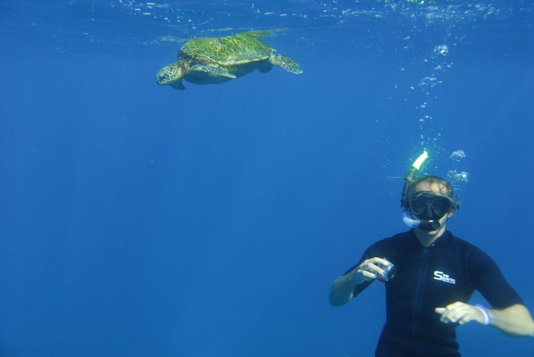 Gallery | Kauai Zodiac Tourz