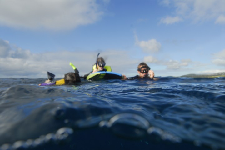 group of snorkelers treading water