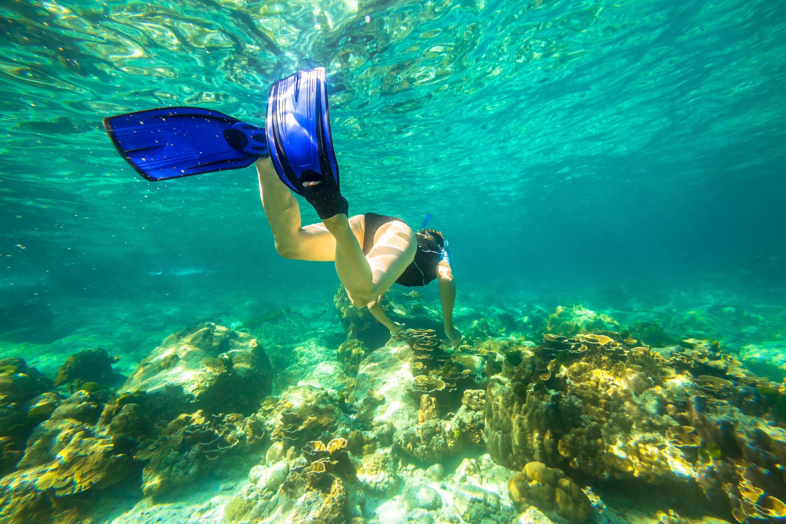 Kauai's Ultimate South Island Zodiac Boat Snorkel Adventure