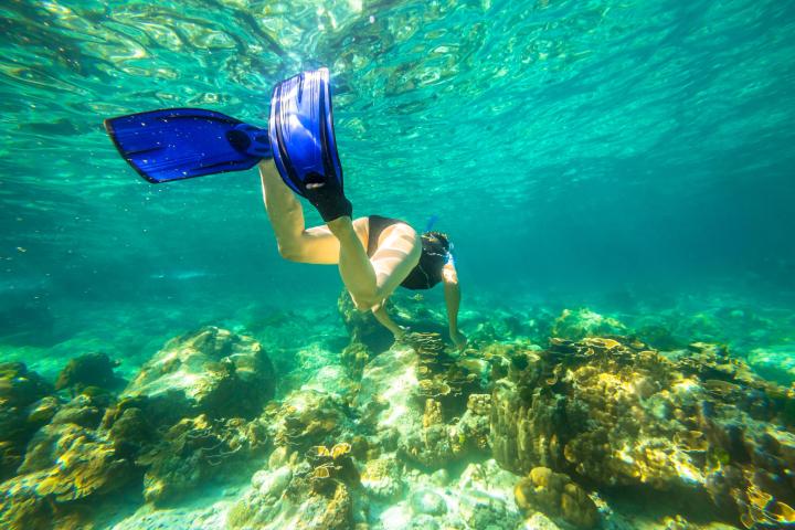 woman snorkeling underwater close to reefs