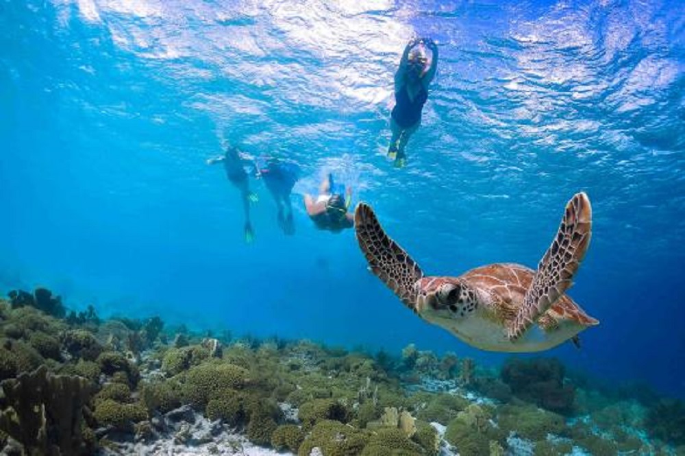 Kauai's Ultimate South Island Zodiac Boat Snorkel Adventure