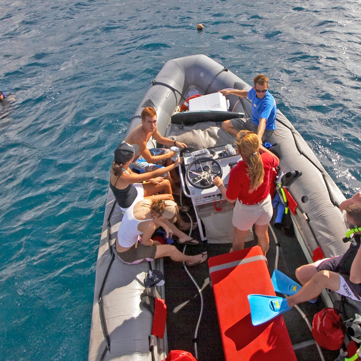 a group of people swimming in a body of water