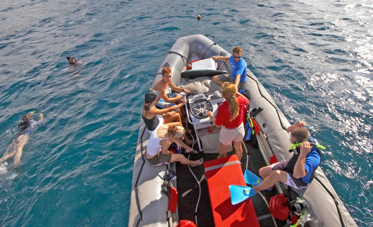 a group of people swimming in a body of water