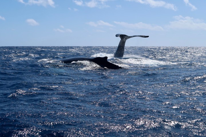 a man flying through the air while riding a wave in the ocean