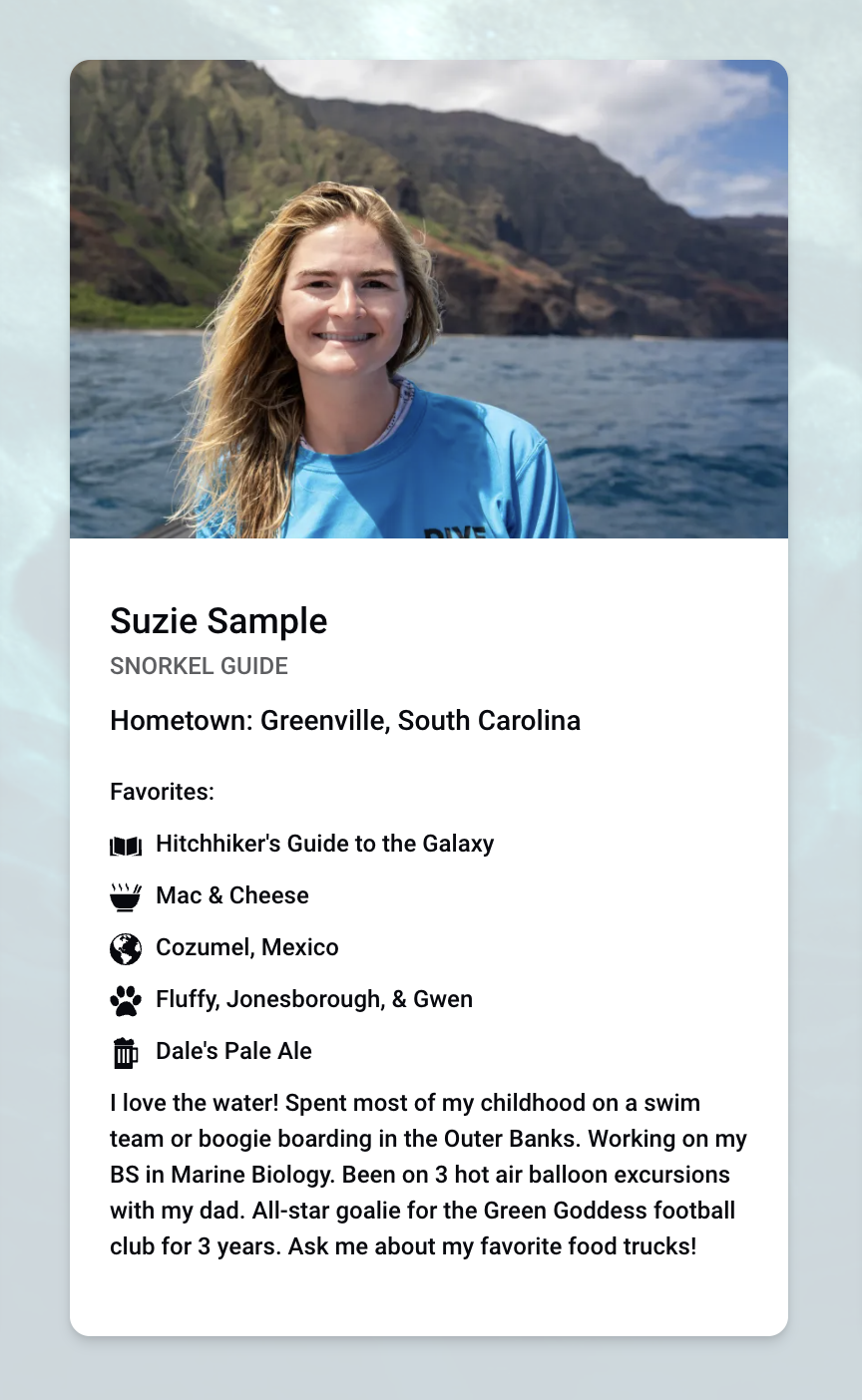 graphical user interface, application